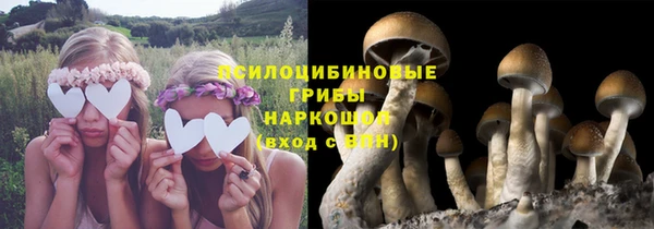 ГАЛЛЮЦИНОГЕННЫЕ ГРИБЫ Киренск