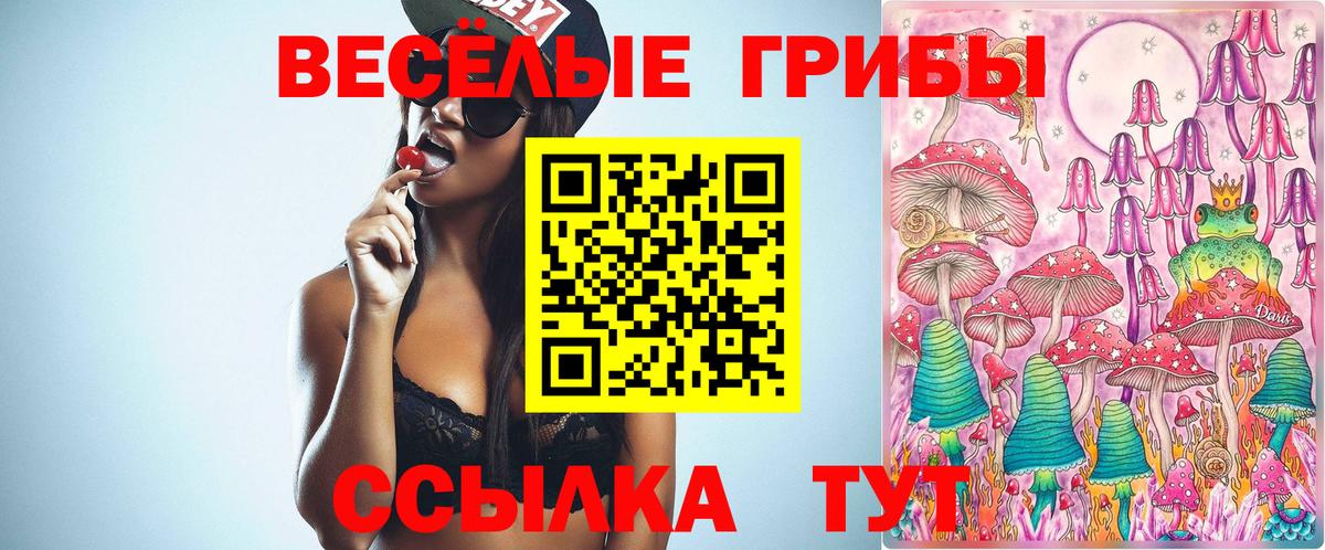 Псилоцибиновые грибы мухоморы Каменск-Уральский